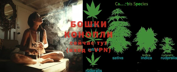 кокс Абаза