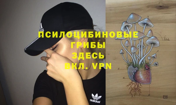 2c-b Абинск