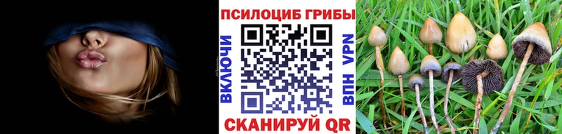 Псилоцибиновые грибы Magic Shrooms  мега зеркало  Дальнереченск 